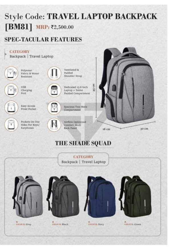Travel Laptop Backpack