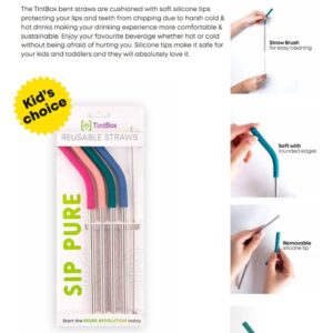 TintBox Reusable Steel Straws with Silicone Tip