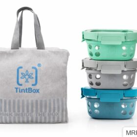 Glass Lunch Box Set of 3  with Canvas Lunch Bag
