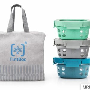 Glass Lunch Box Set of 3  with Canvas Lunch Bag
