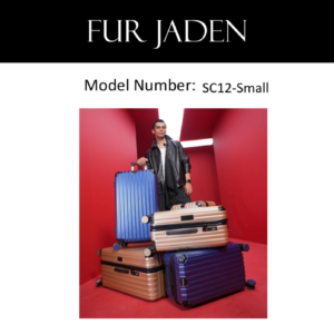 Sc12_Small