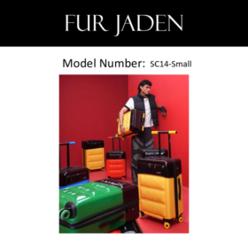 Sc14_Small
